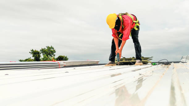 Best Roof Ventilation Installation  in Meadowbrook, CA